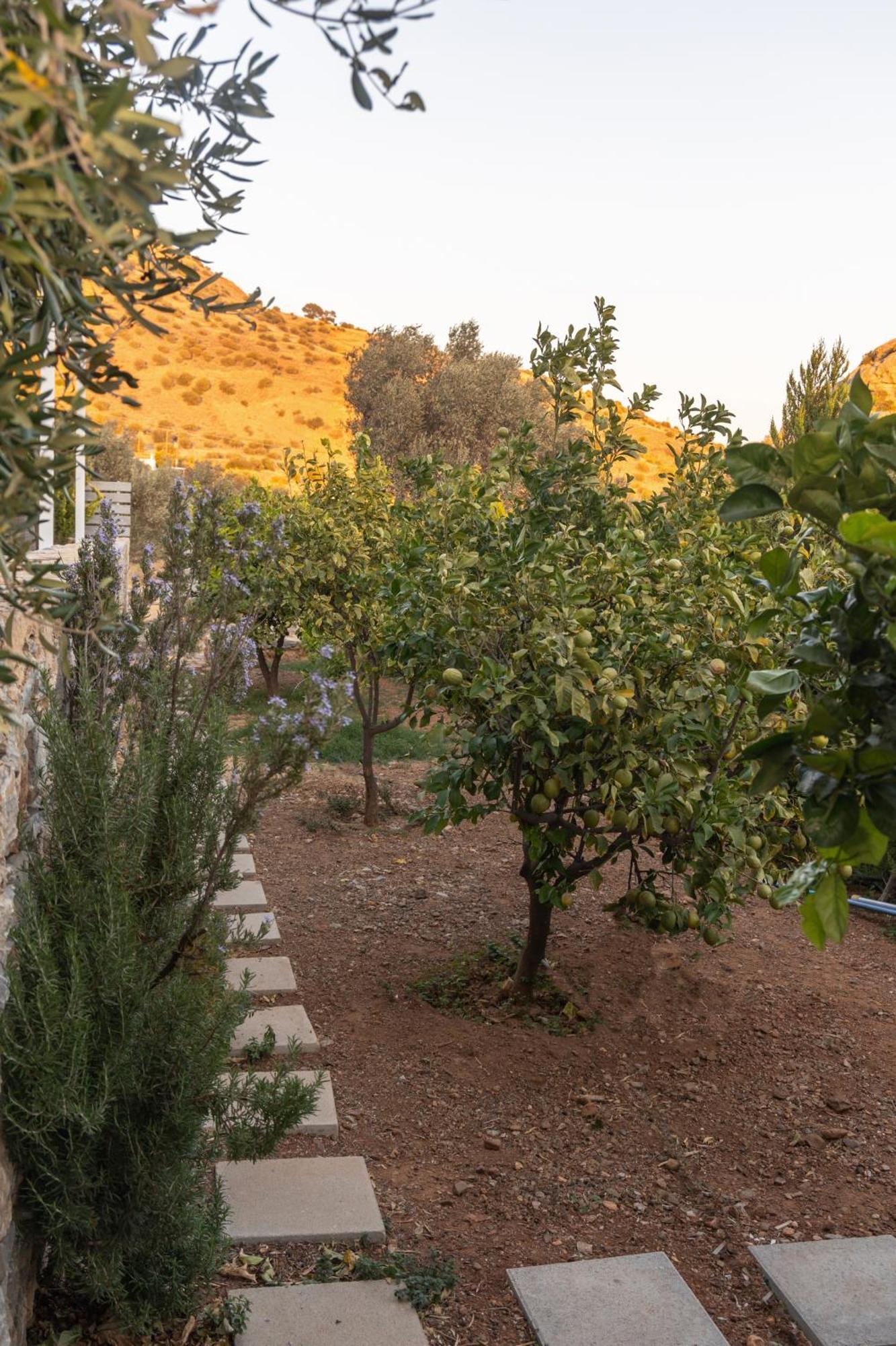 Evgoro Luxury Agia Galini