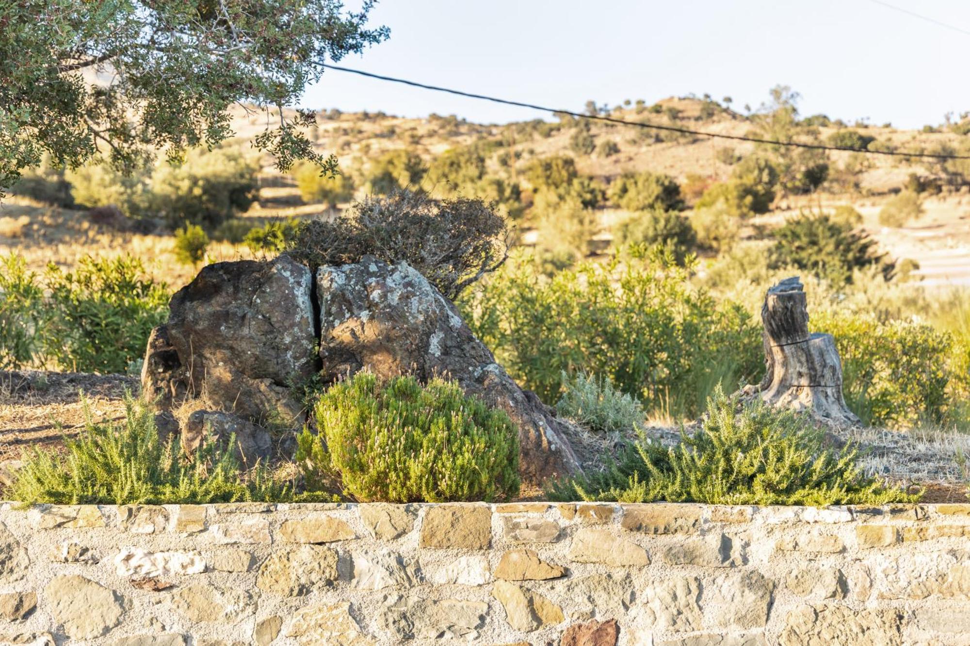 Villa Evgoro Luxury Agia Galini